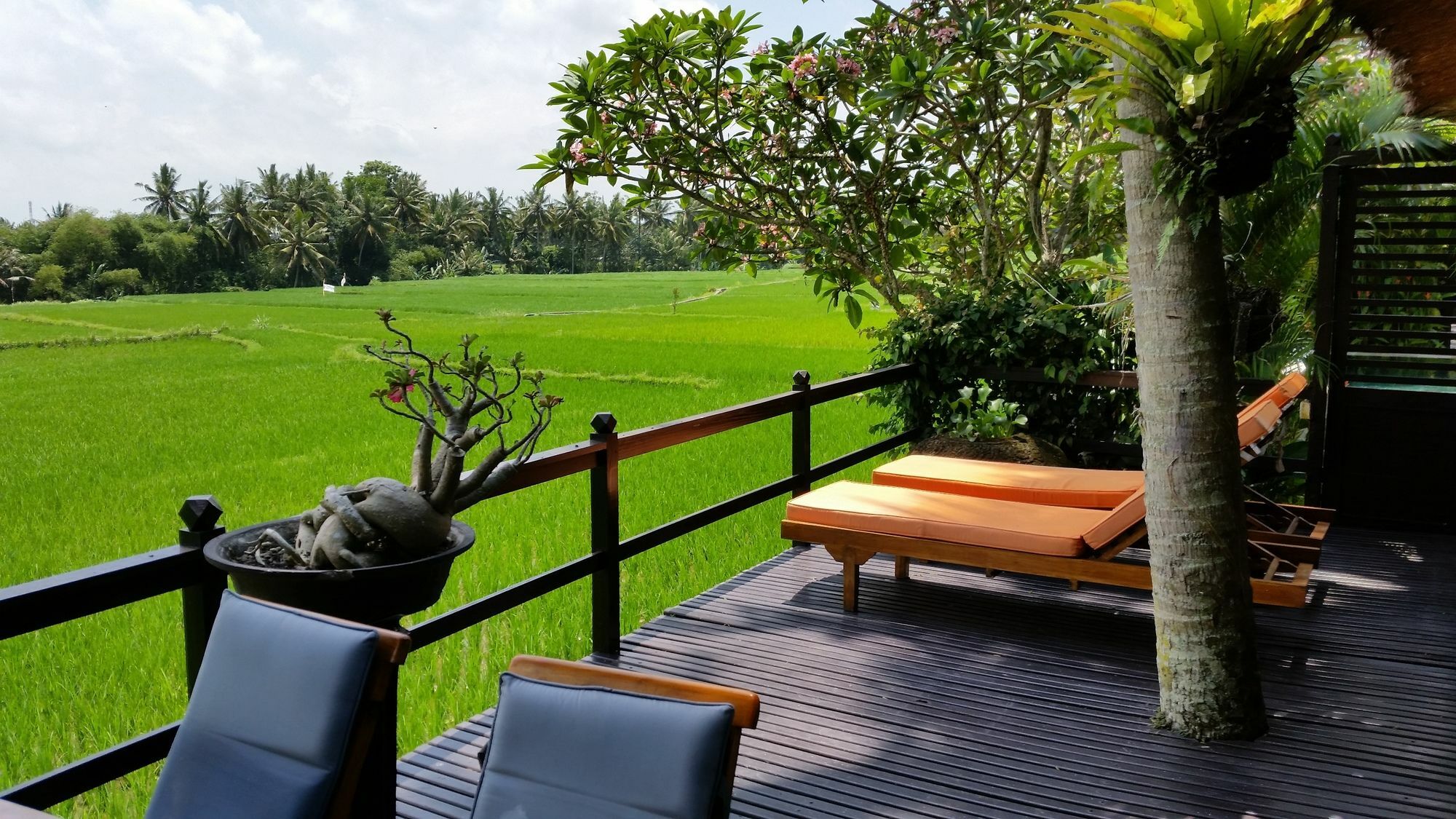 Lodtunduh Sari Hotell Ubud Exteriör bild