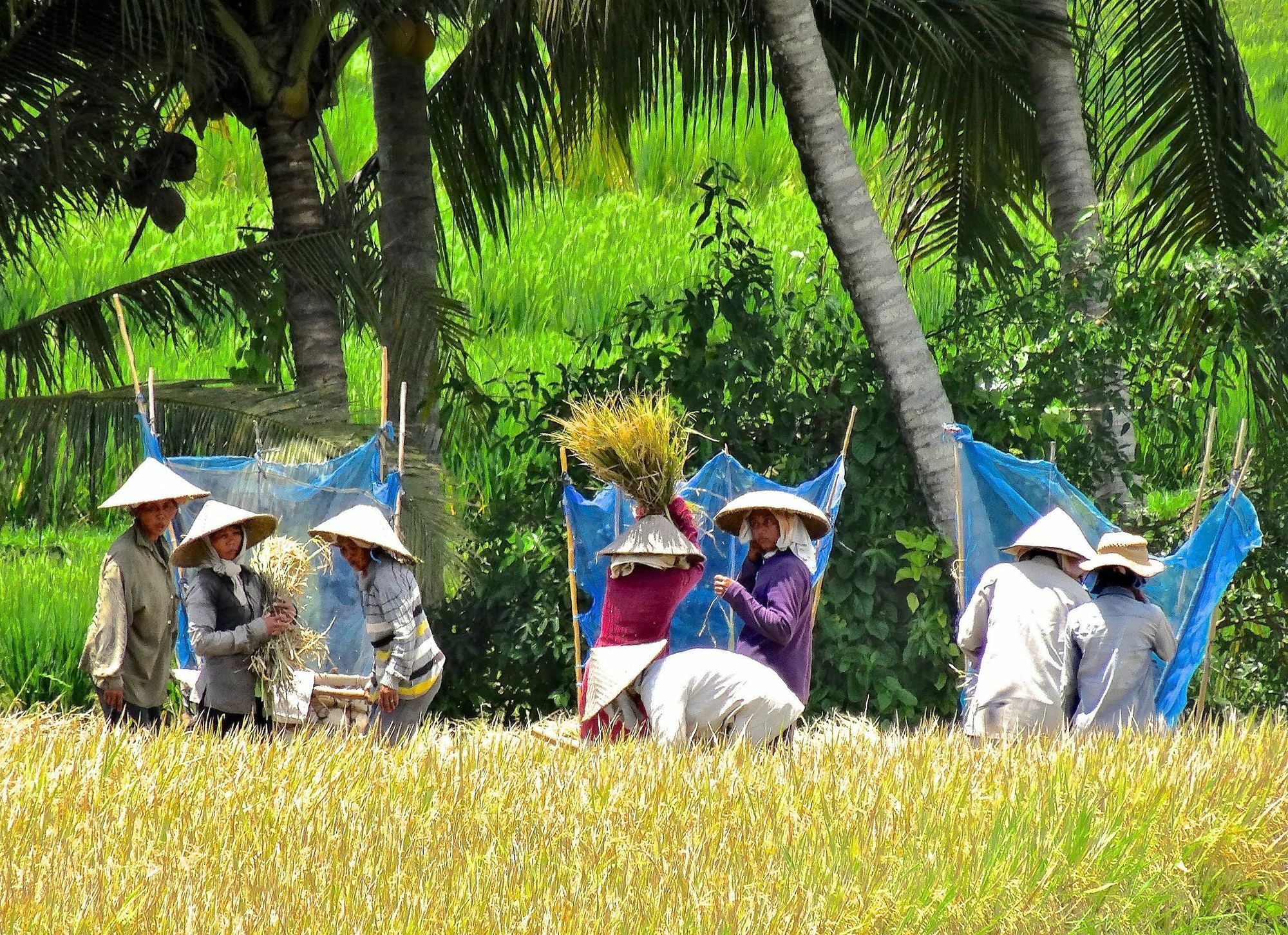Lodtunduh Sari Hotell Ubud Exteriör bild
