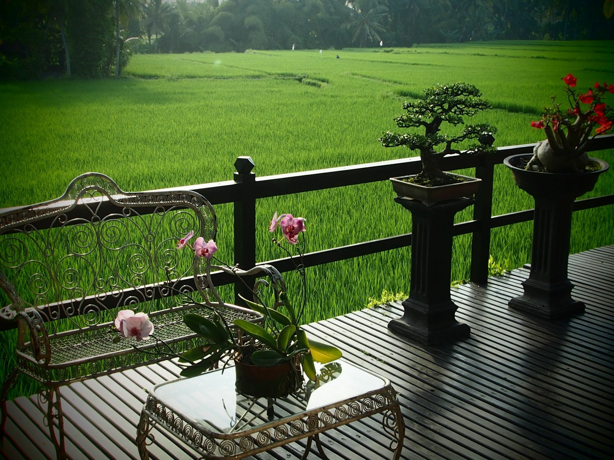 Lodtunduh Sari Hotell Ubud Exteriör bild
