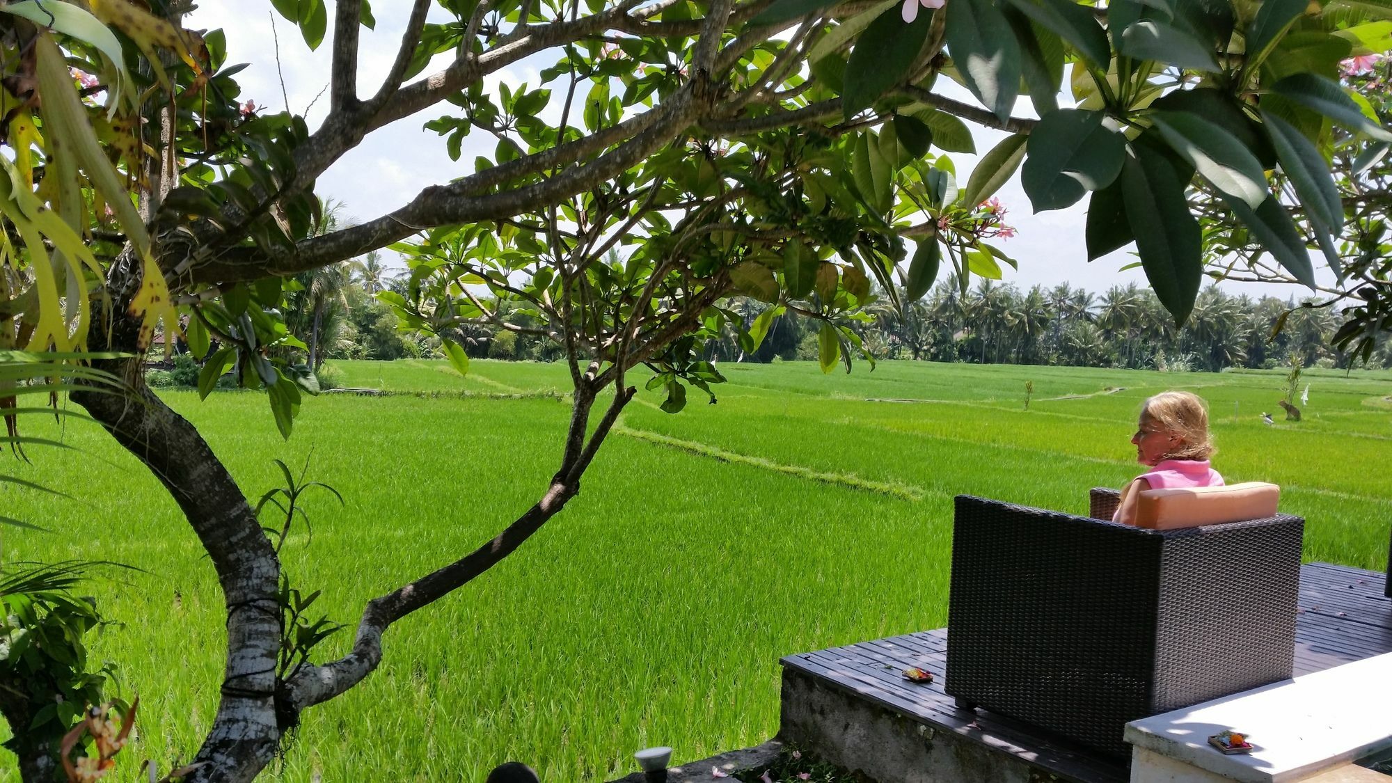 Lodtunduh Sari Hotell Ubud Exteriör bild