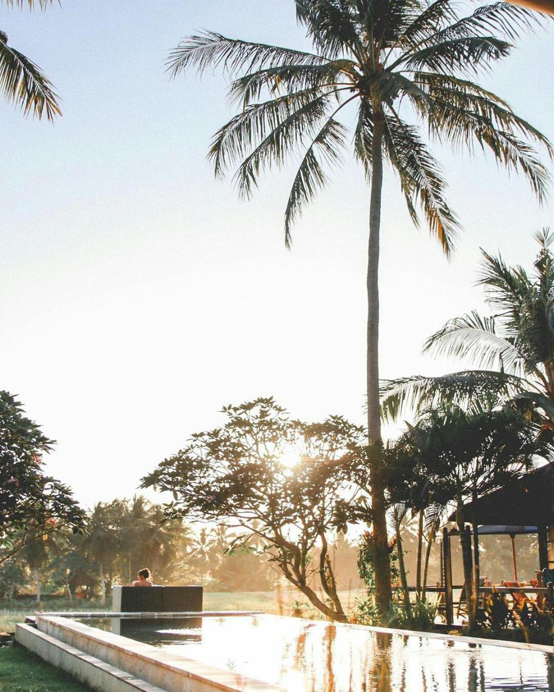 Lodtunduh Sari Hotell Ubud Exteriör bild